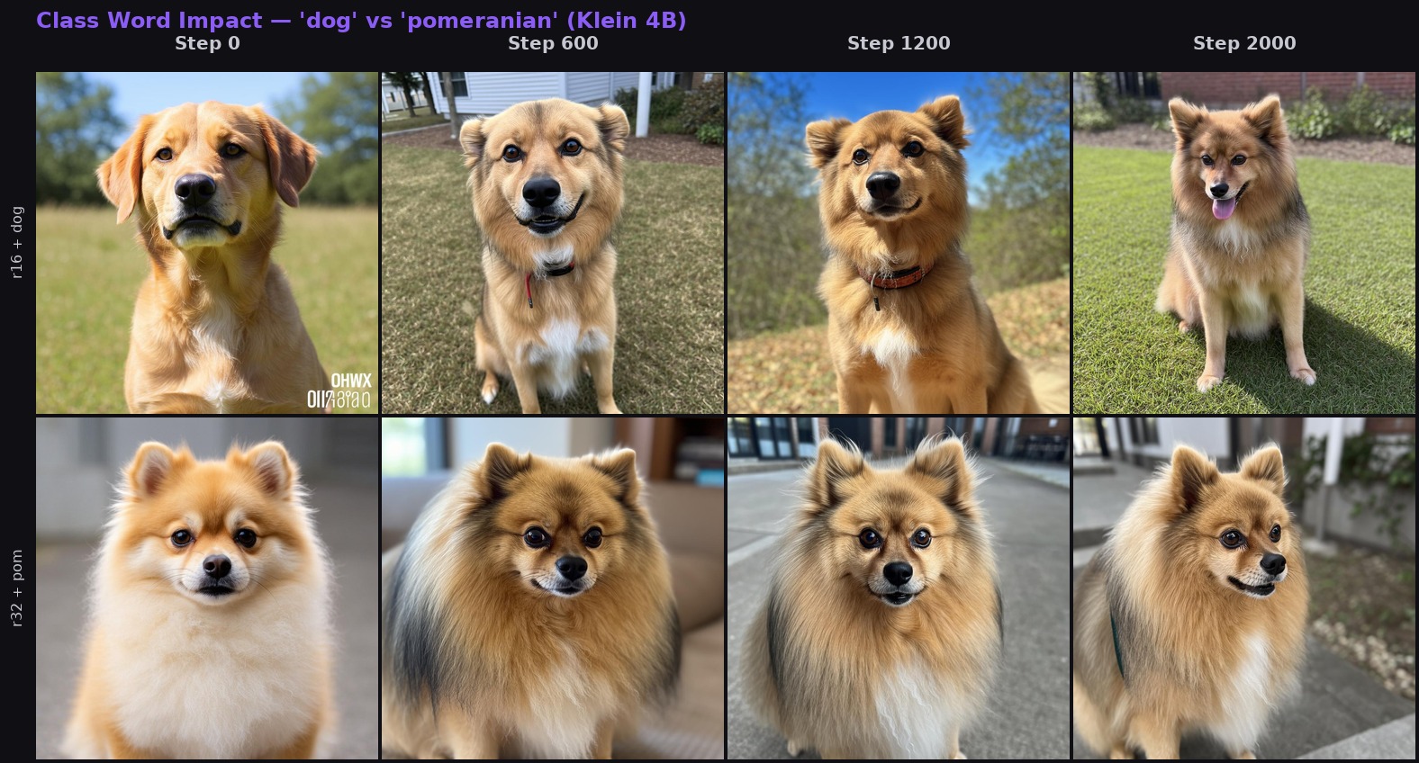 Class word comparison grid — dog vs pomeranian across 4 steps