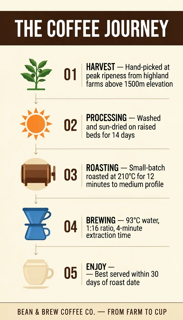 Coffee journey infographic with 5 numbered sections